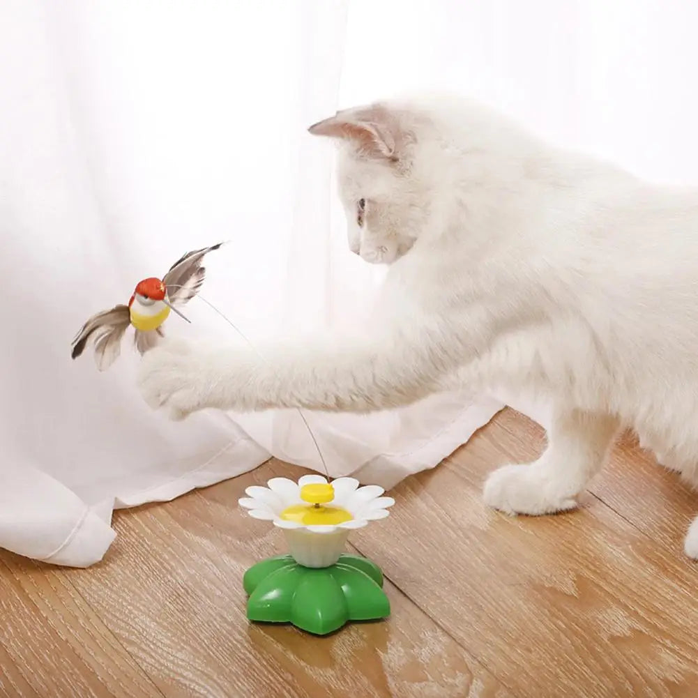 Rotating Electric Butterfly, Hummingbird And - ProPawPet.com
