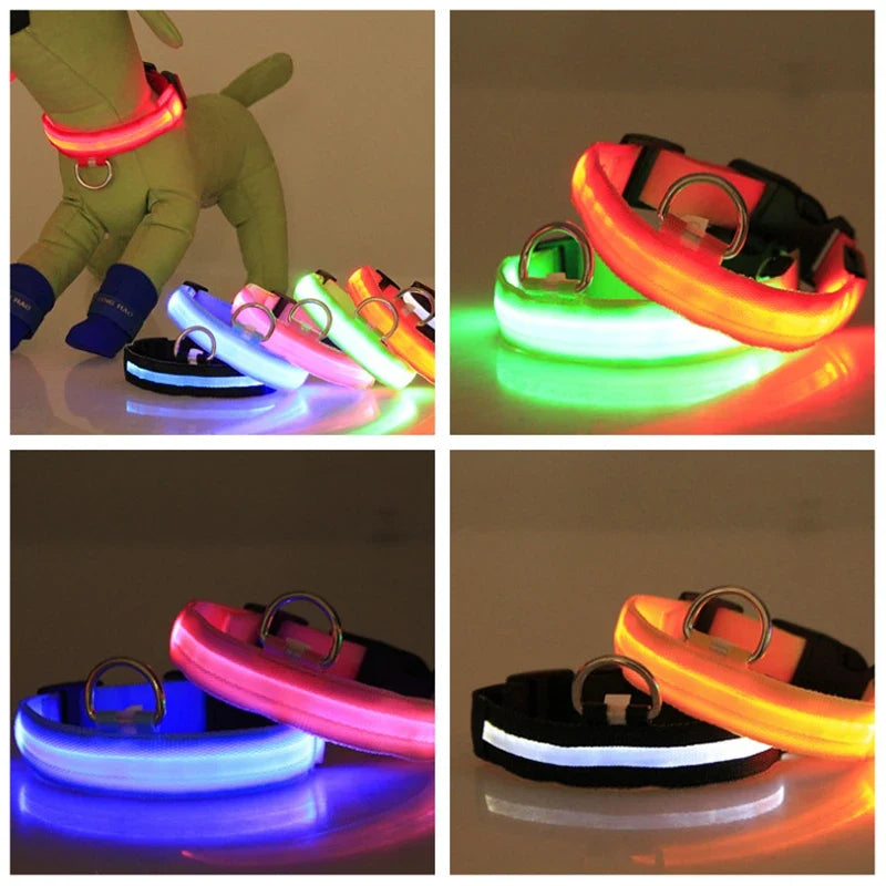 Reflective Nylon LED Pet Dog Collar Safety - ProPawPet.com
