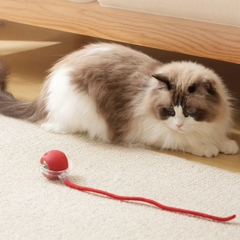 1~3pcs Cat Interactive Ball Toy Automatic - ProPawPet.com