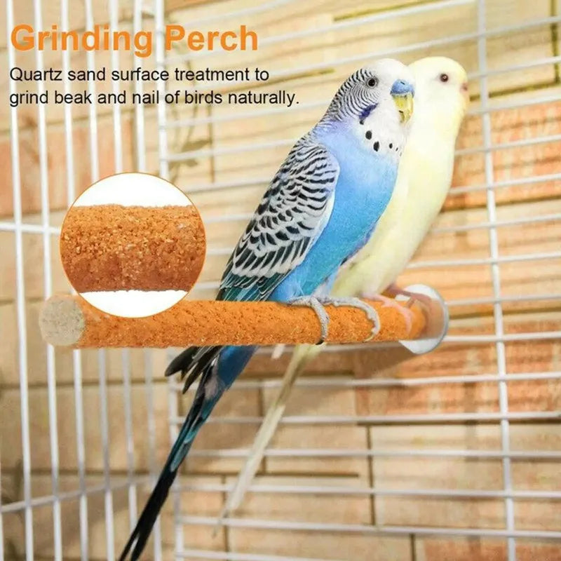 Parrot Claw Beak Grinding Bar Standing Stick - ProPawPet.com