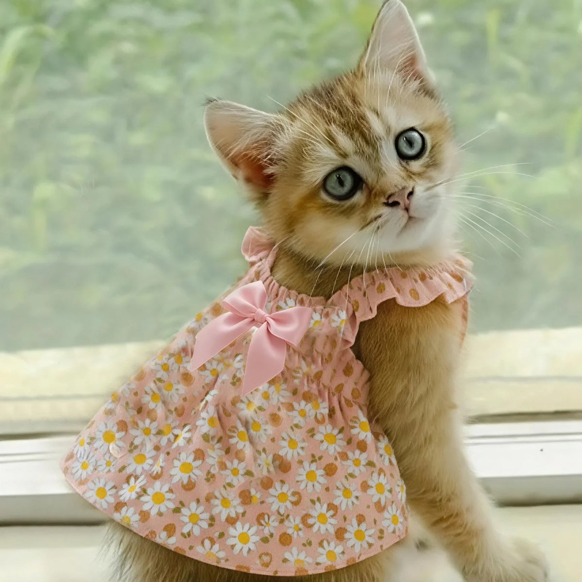 1pc Cat Skirt Pet Dress Dog Summer Dress - ProPawPet.com