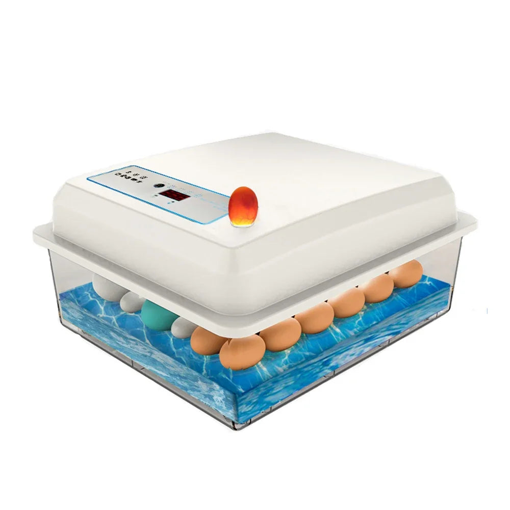 20 Eggs Incubator Set Fully Automatic Household Brooder Farm – Bird Supplies