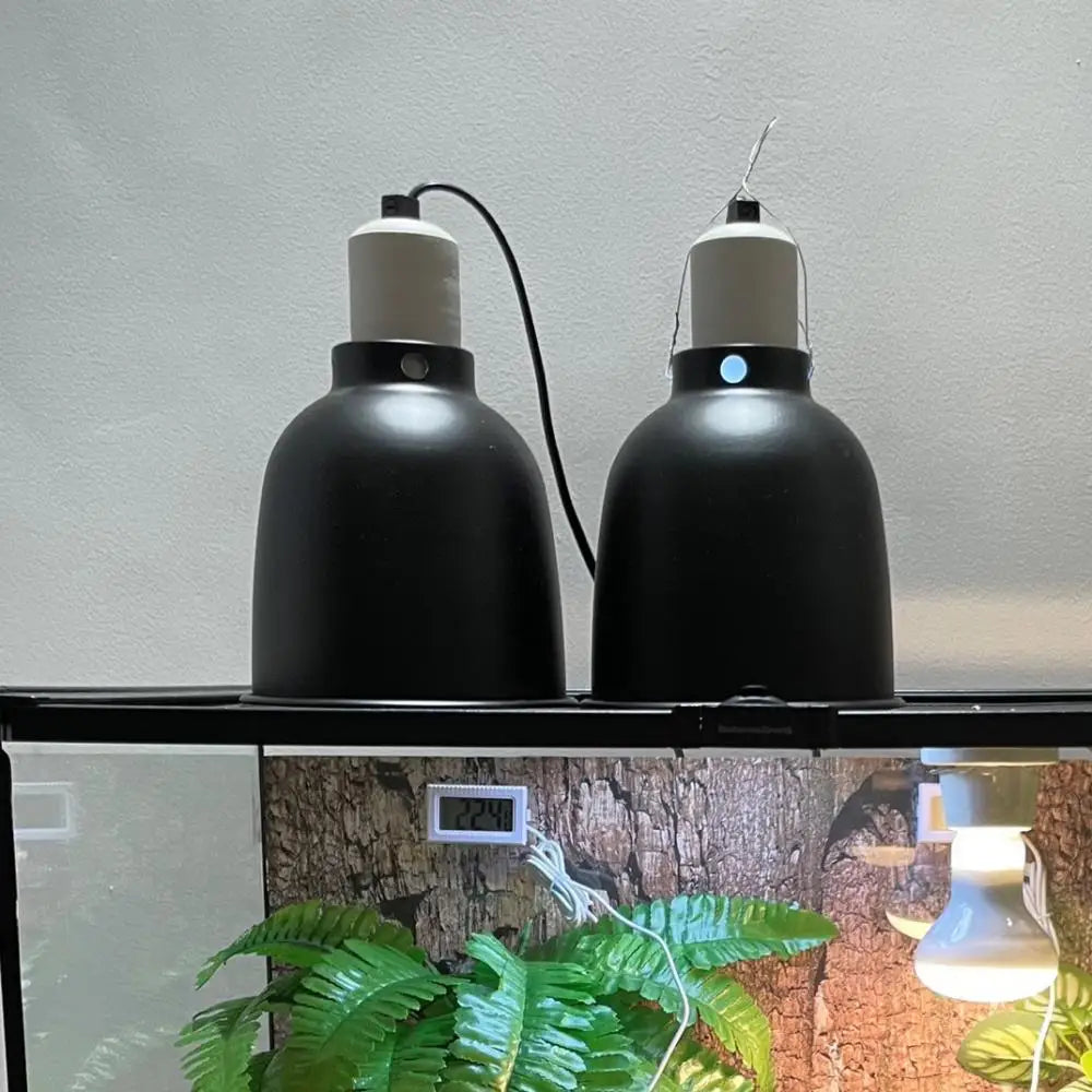 100W 240V Reptile Heating Lamp Set with UVB - ProPawPet.com