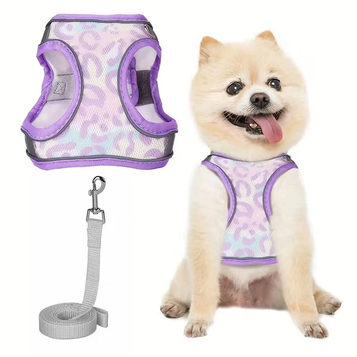 DH008 Small Dog Safety Leash Set, Non-Pull - ProPawPet.com