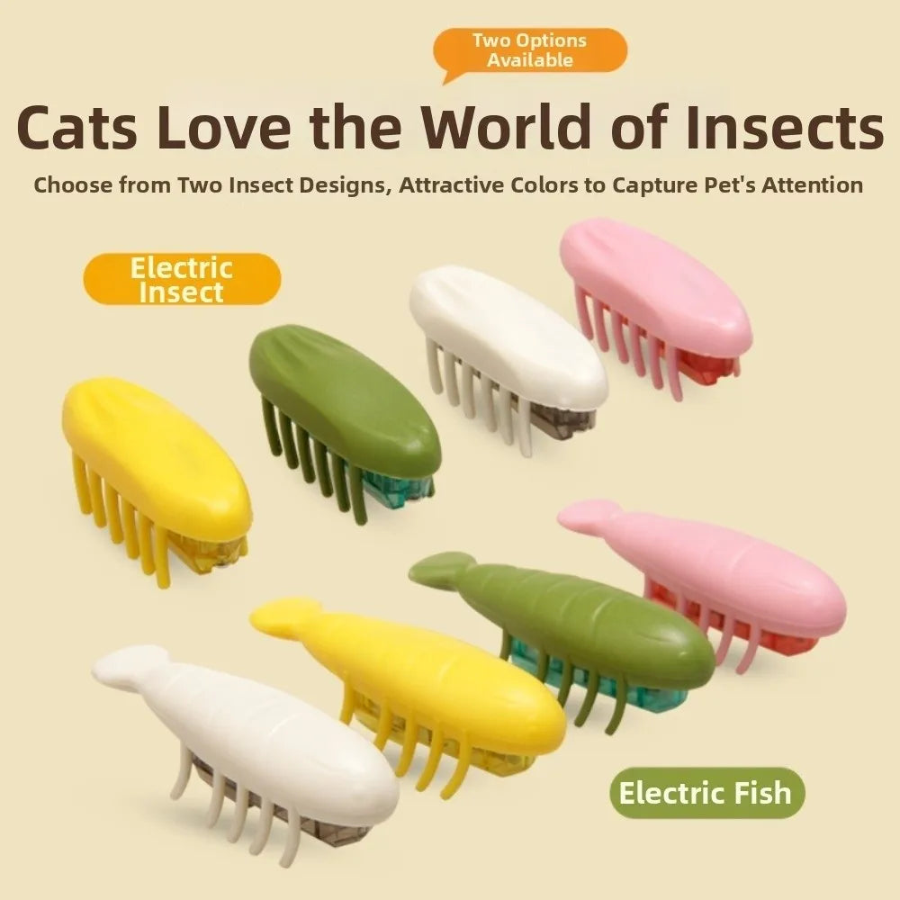 Interactive Play Electric Cat Chasing Beetle - ProPawPet.com
