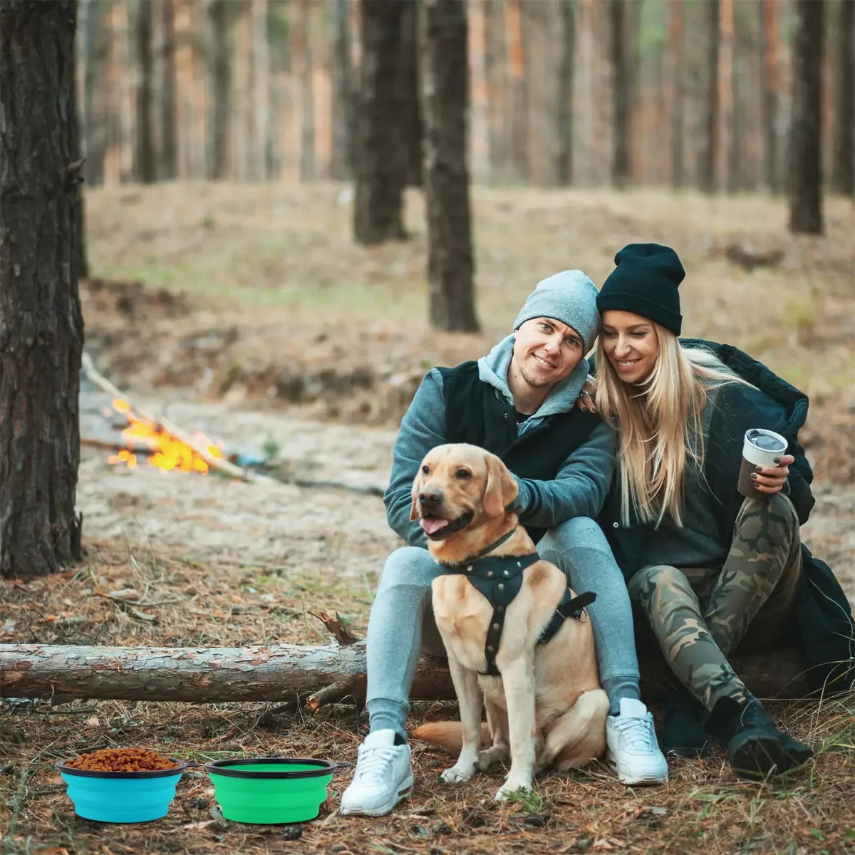 Foldable Silicone Dog Food Water Basin with - ProPawPet.com