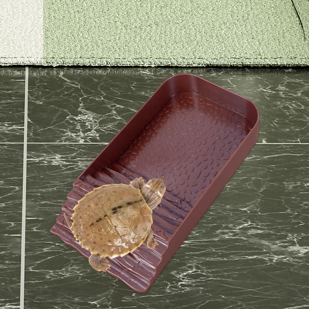 Reptile Water Dish Spacious ABS Bowl for - ProPawPet.com