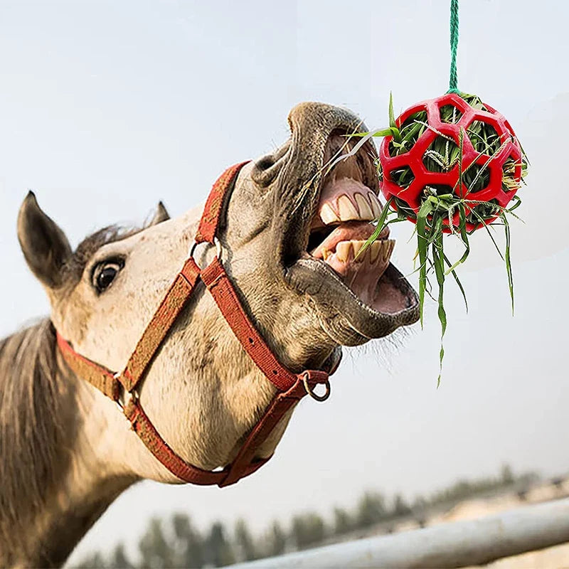 1Pcs Horse Treat Ball Hay Feeder Toy Ball - ProPawPet.com