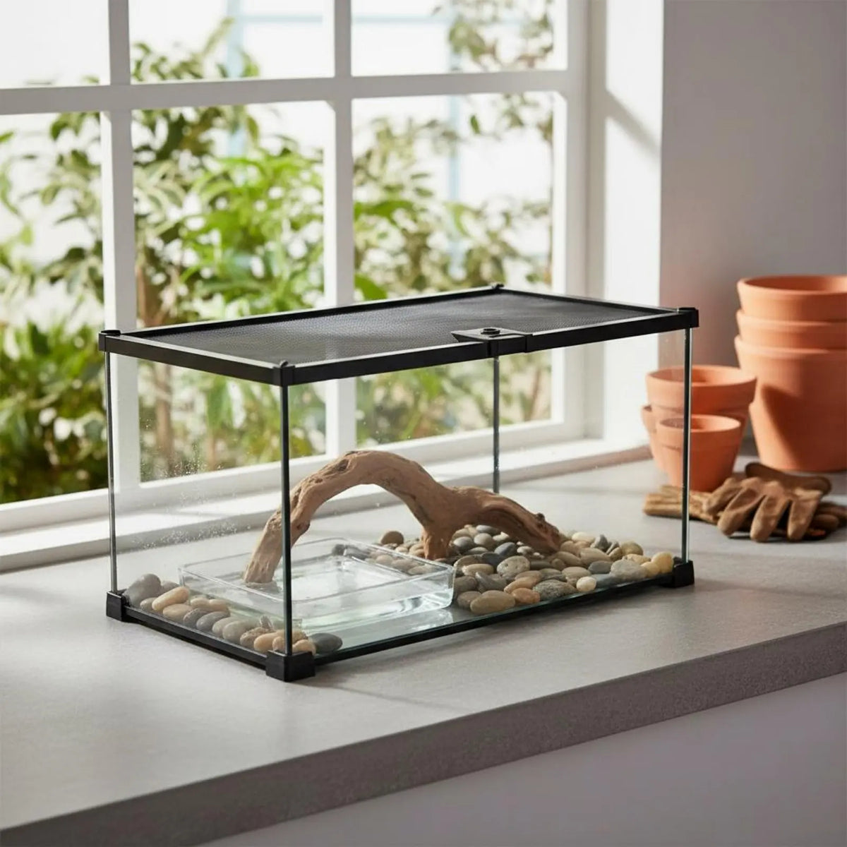 Glass Amphibian Terrarium Anti-Security - ProPawPet.com