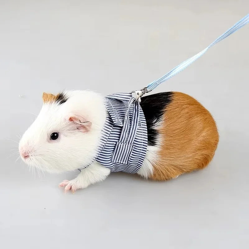 Small Pets Chest Strap Outdoor Traction Rope - ProPawPet.com