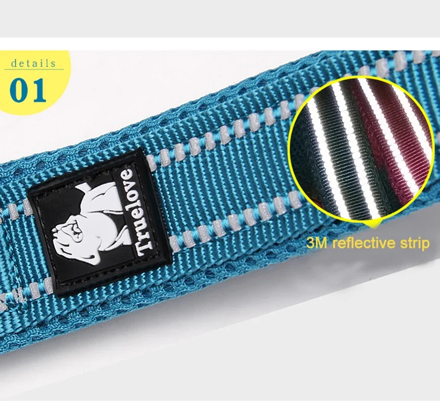 Truelove Soft Mesh Nylon Dog Leash Double - ProPawPet.com