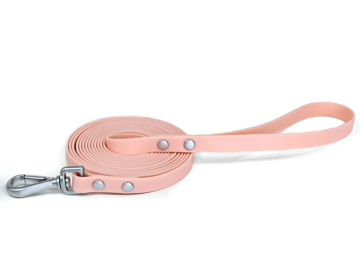 Studded Rivet PVC Dog Leash Waterproof - ProPawPet.com