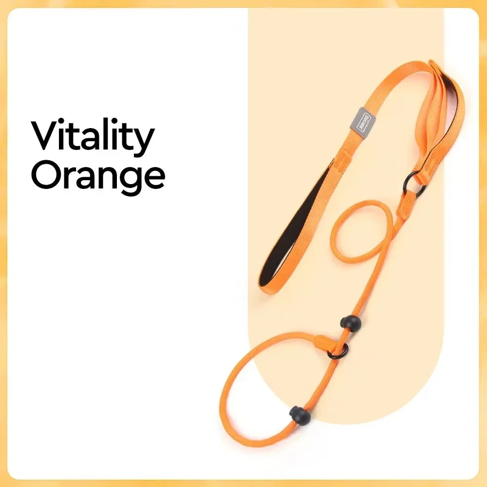 Nylon Slip Lead Dog Leash and Collar – Dog Supplies
