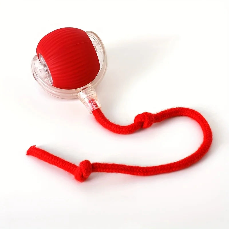 Rechargeable Miaoquanji Self-rolling Cat Toy Ball with LED Lights