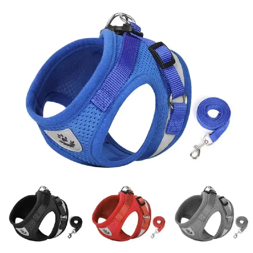 Escape Proof Cat Harness Adjustable - ProPawPet.com