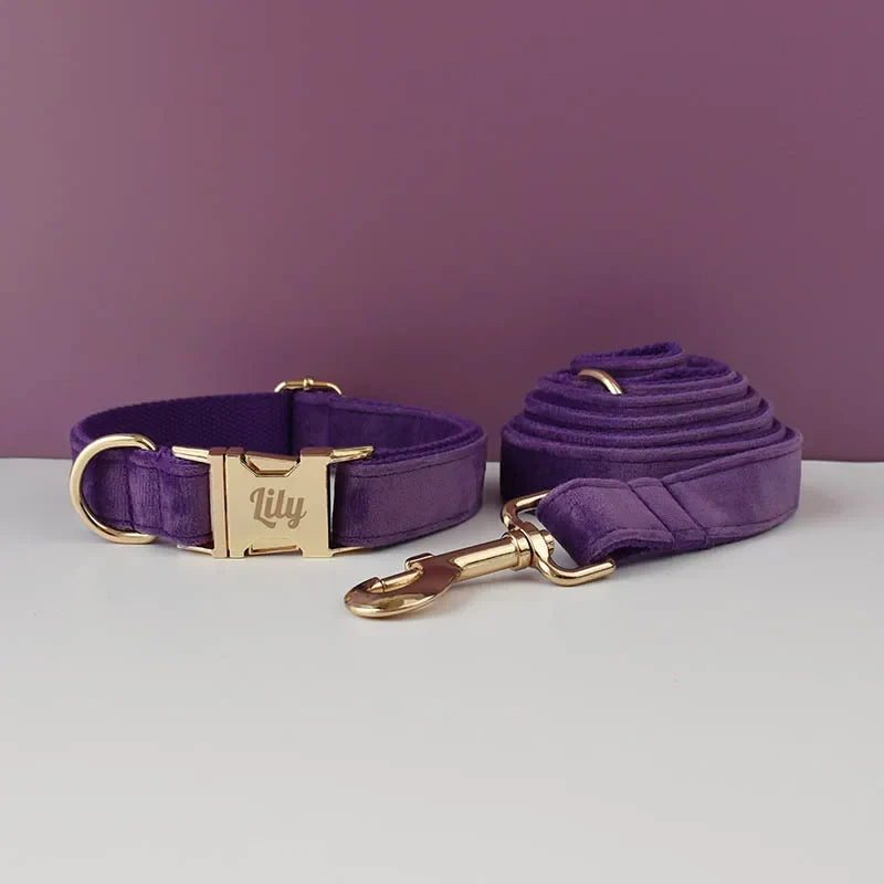 Purple Velvet Dog Collar And Leash Set For - ProPawPet.com