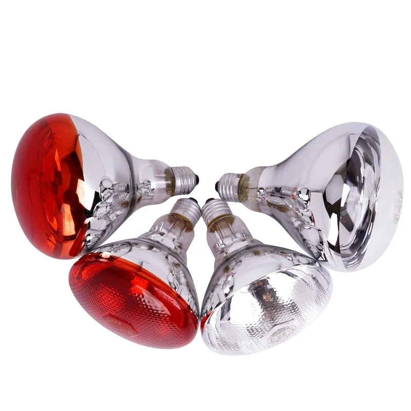 220V Heating Light Bulb Poultry Reptile - ProPawPet.com