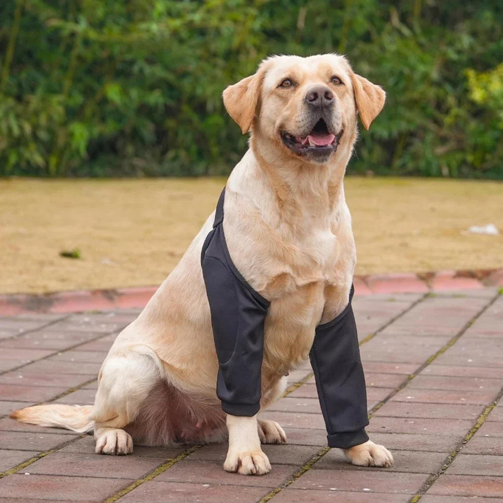 Pet Knee Pads for Joint Injury Recovery Legs - ProPawPet.com