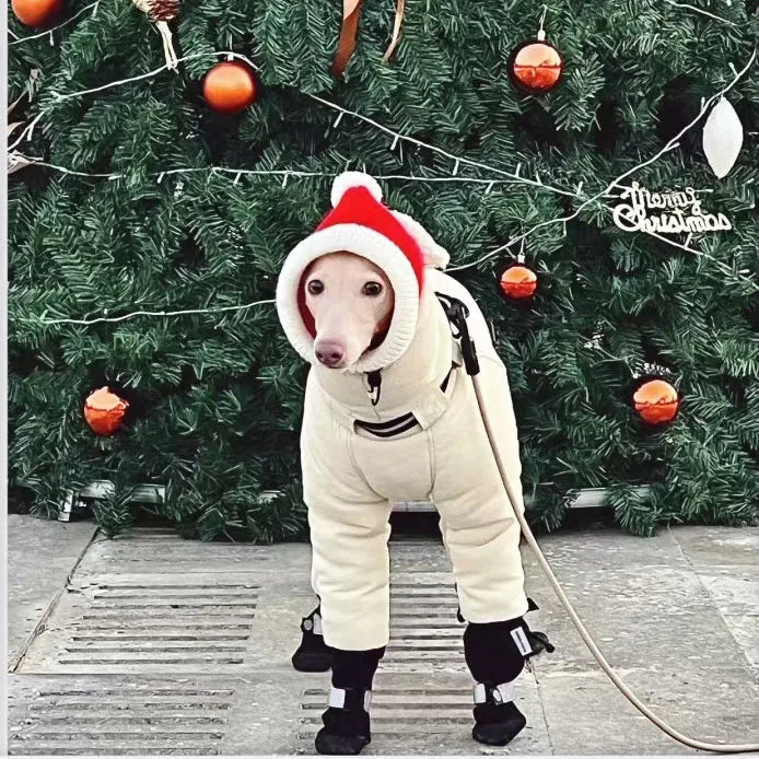 Winter Dog Jacket,Thickened Warm Dog Clothes - ProPawPet.com