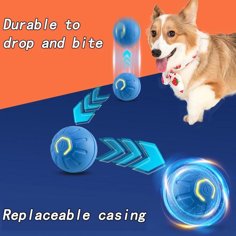 Cat Interactive Bouncing Ball Smart Cat Toys - ProPawPet.com