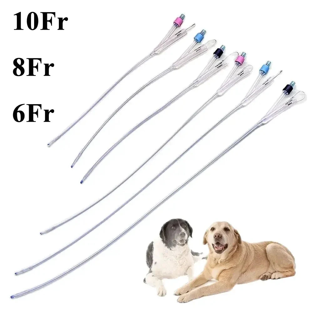 12PCS Pet Canine Dog Indwelling Urinary - ProPawPet.com