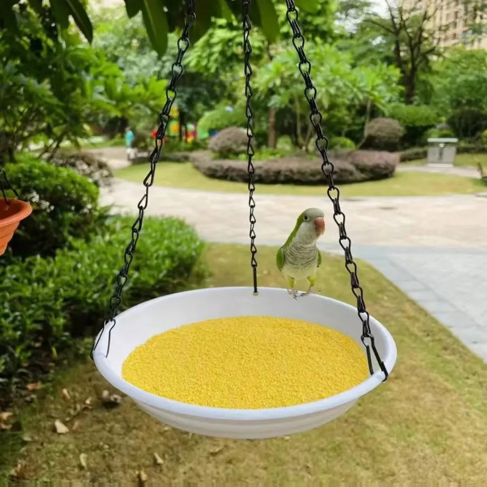 Round Shaped Birds Feeder Birdbath Dish – Bird Supplies