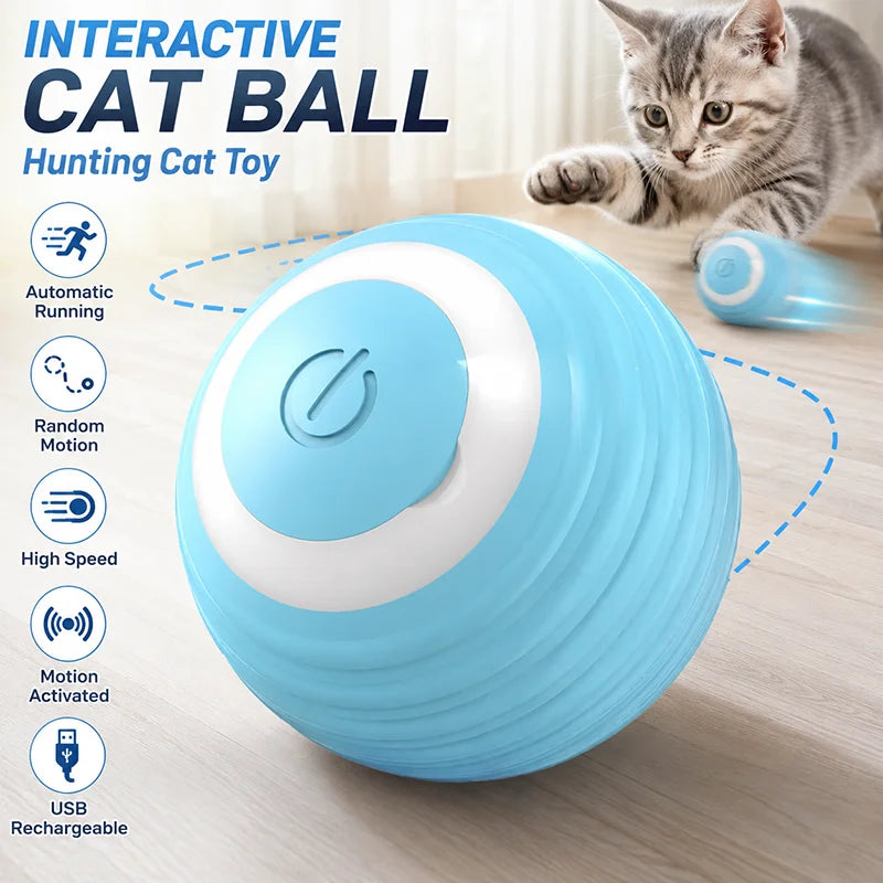 Interactive Cat Ball USB Rechargeable Fast - ProPawPet.com