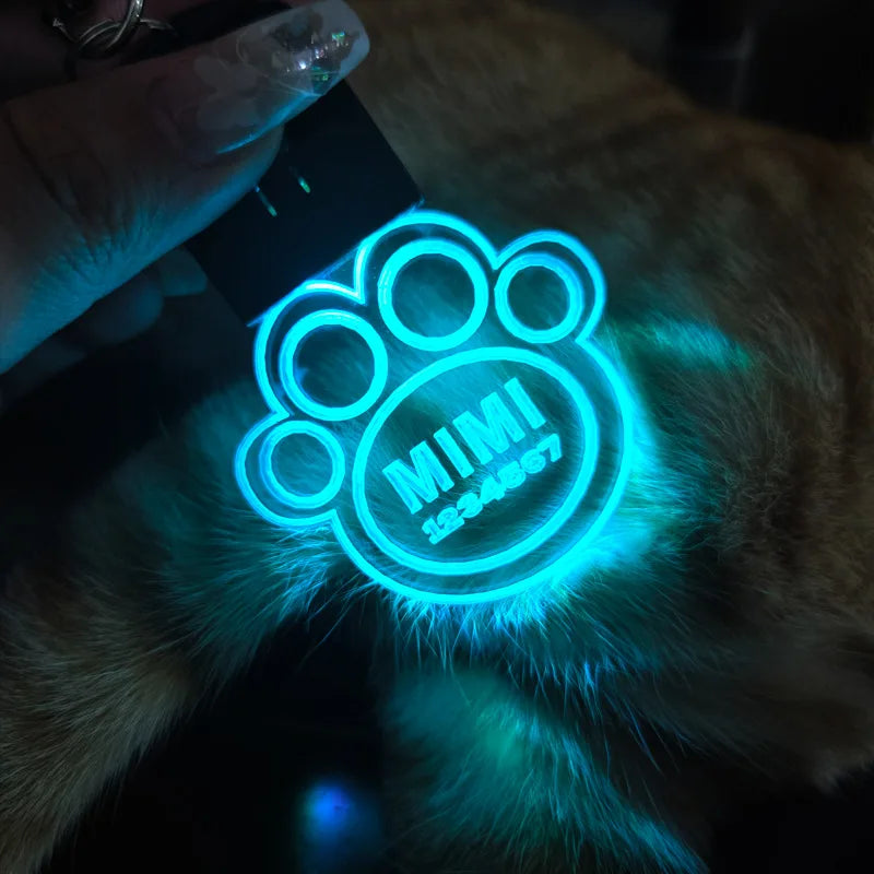 Customized Laser-Engraved Acrylic LED Pet ID - ProPawPet.com