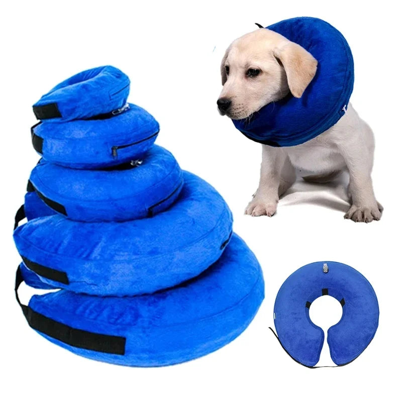 Inflatable Dog Collar Anti-bite Elizabethan - ProPawPet.com