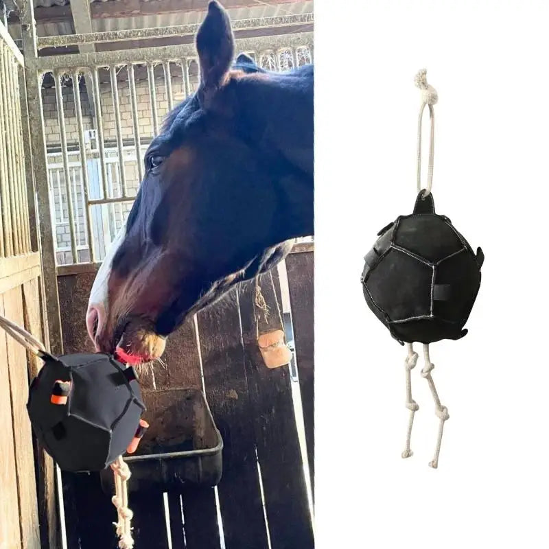 1pc for Stable Use Slow Feeder Stall - ProPawPet.com