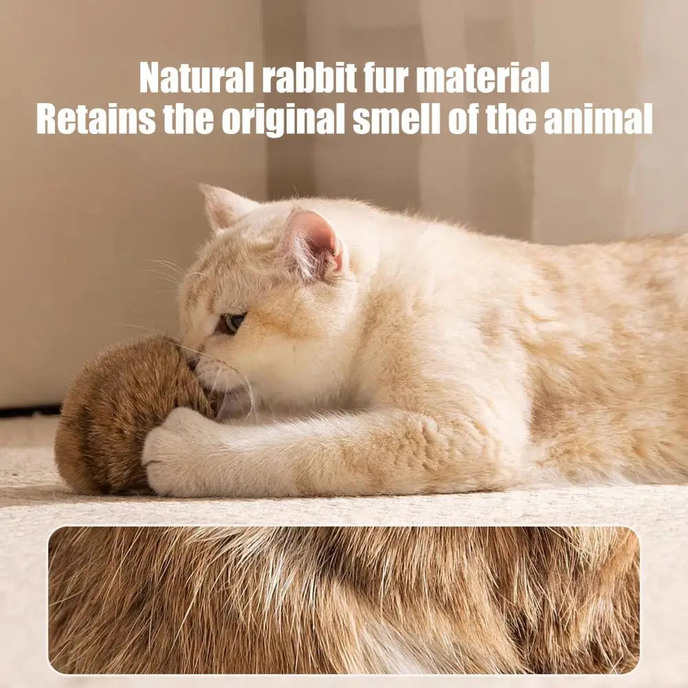 Cat Bunny-kick Ball Furry Ball Cat Toy Soft - ProPawPet.com