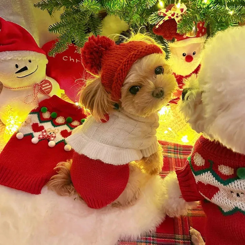 Pet Knitted Hat Dog Cute Fur Ball Head Cover - ProPawPet.com