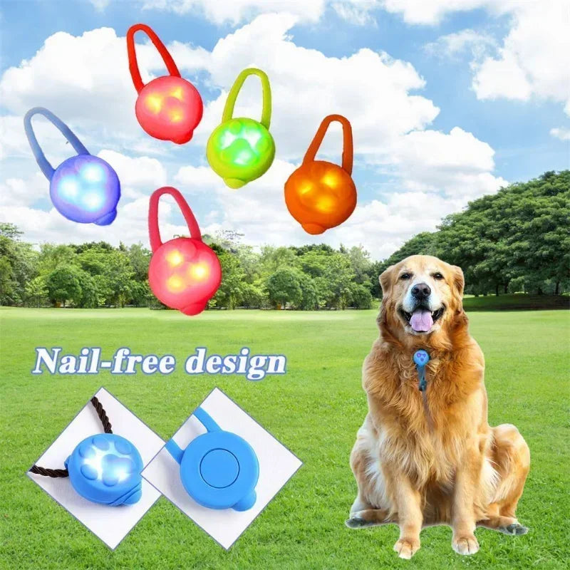 1Pc Pet Dog Night LED Flashlight Dog Cat - ProPawPet.com