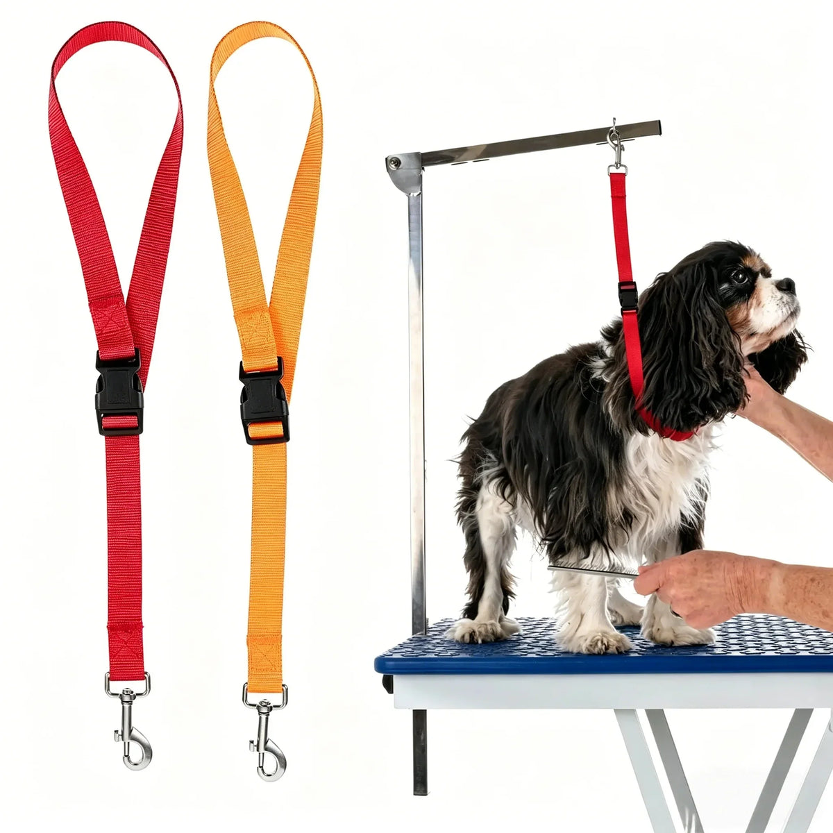 Adjustable Dog Grooming Safety Strap - ProPawPet.com