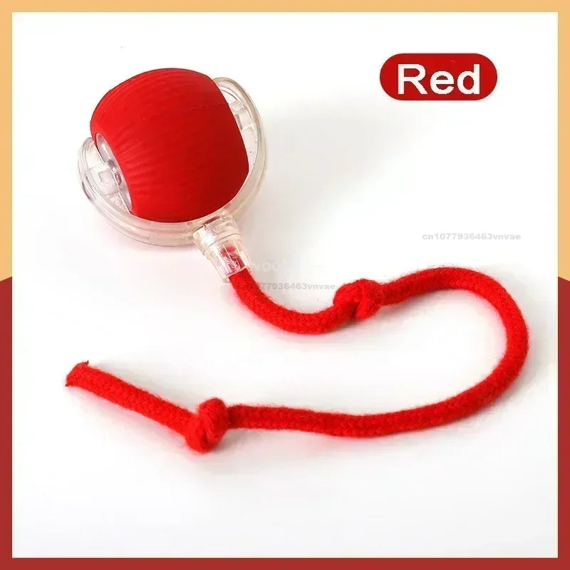 Cat Interactive Ball Toys Automatic Rolling - ProPawPet.com