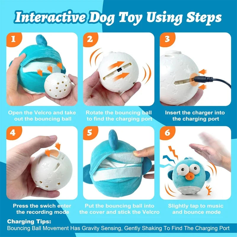 Pet Cat Dog Toy,Rechargeable Crinkle Chew - ProPawPet.com