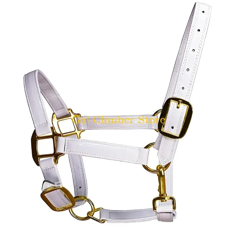 Waterproof Q84c Quality Fashionable Leather Horse Headgear Bridle – 8 Colors
