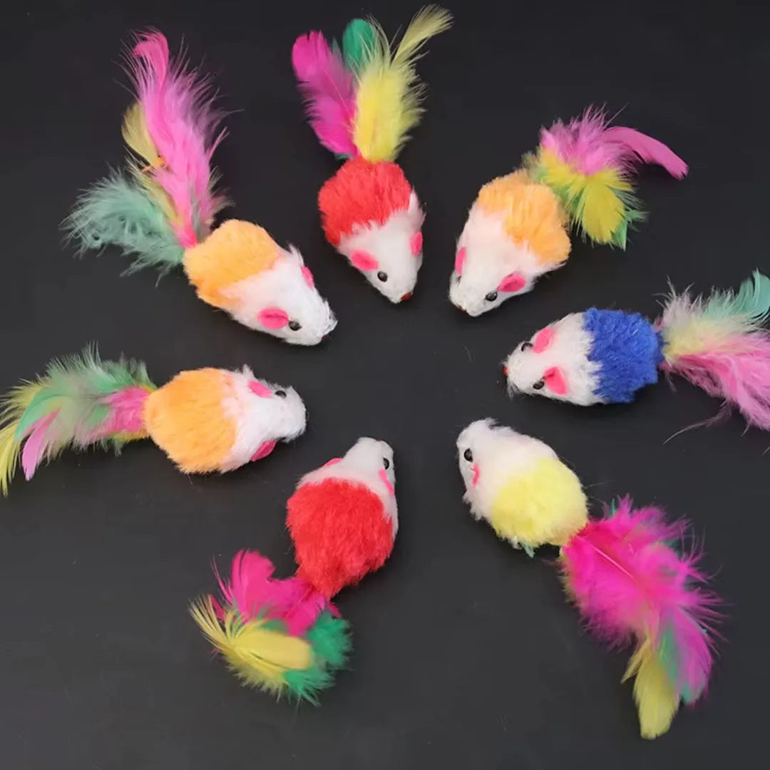New Pet Cat Toys Interactive Cute Soft - ProPawPet.com