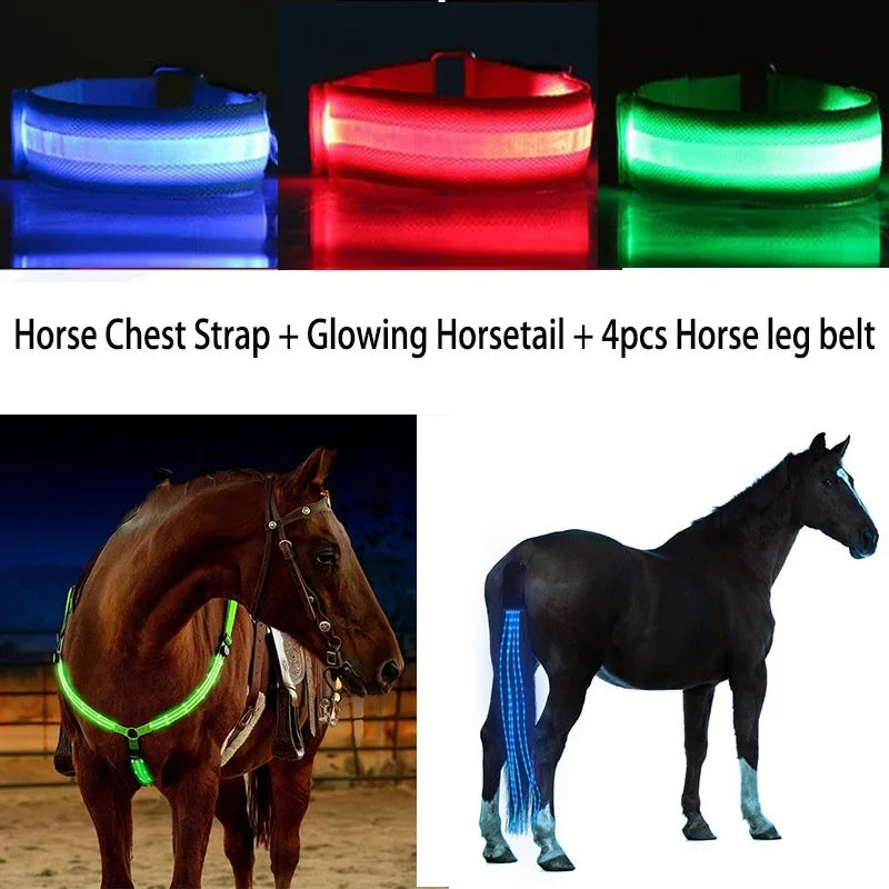 3Pcs LED Horse Legs Chest Tails Straps - ProPawPet.com