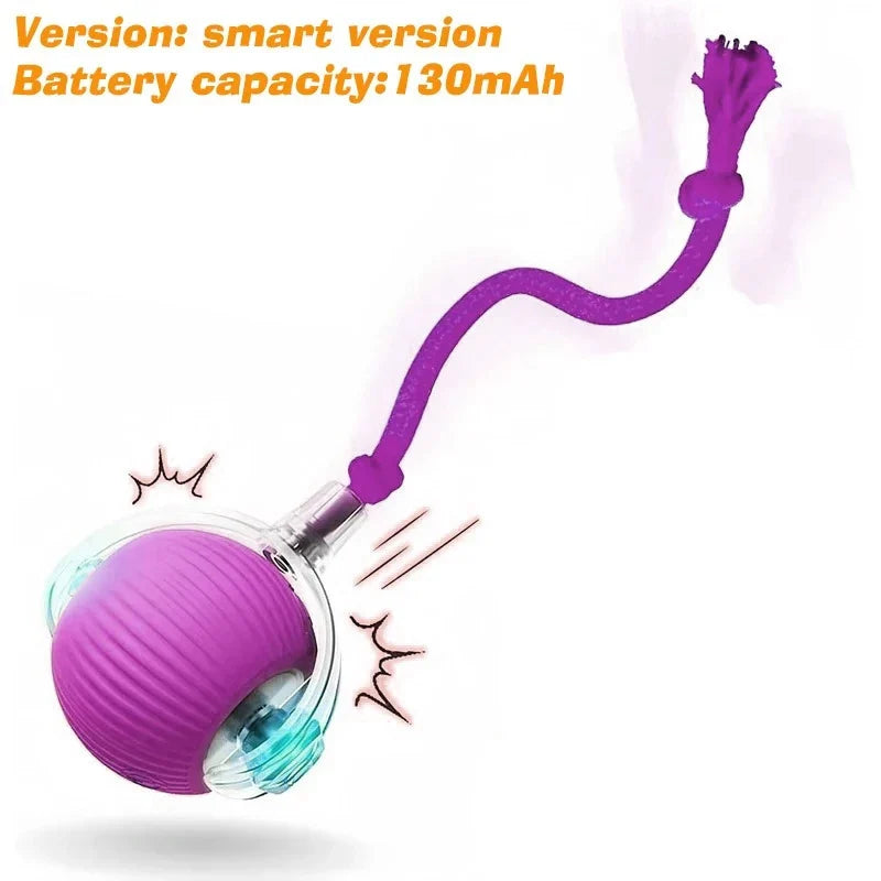 Dog Interactive Ball Toy Automatic Rolling - ProPawPet.com