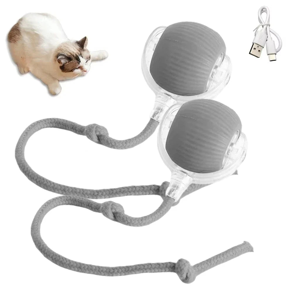 Rechargeable 1 Interactive Cat Toys Ball – Cat Supplies