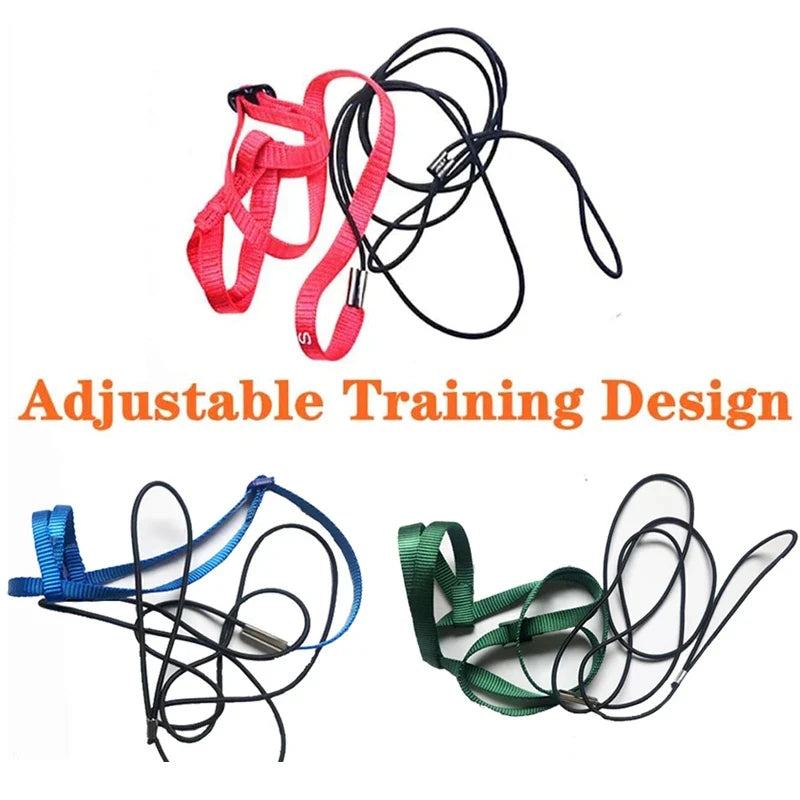 Anti-Bite Bird Harness Leash Set Parrot - ProPawPet.com