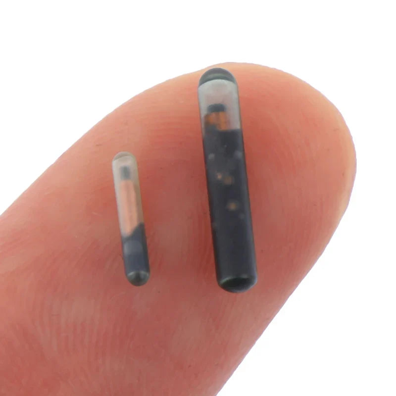 134.2KHZ Microchip Animal RFID Tag For Fish - ProPawPet.com