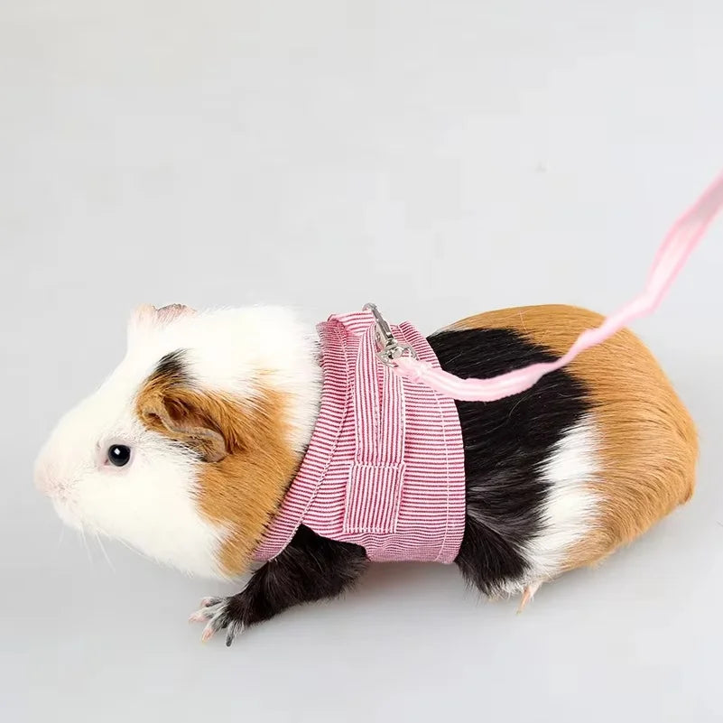 Small Pets Chest Strap Outdoor Traction Rope - ProPawPet.com