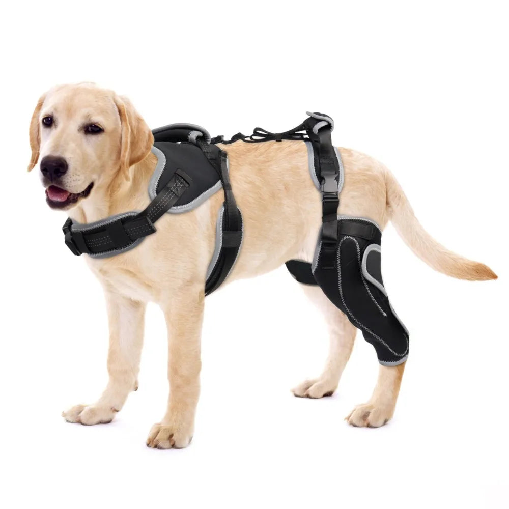 Reduces Pain Hind Leg Dog Leg Brace - ProPawPet.com