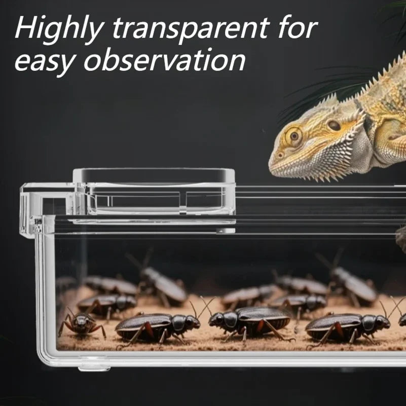 Reptile Feeder Lizard Turtle Gecko Feeding - ProPawPet.com