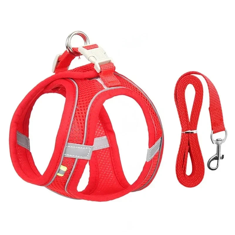 Cats Dog Accessories Small Dog Collar Safety - ProPawPet.com