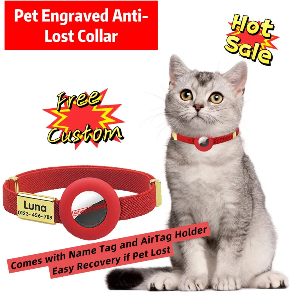 Cute Breakaway Cat Collar with Customized - ProPawPet.com