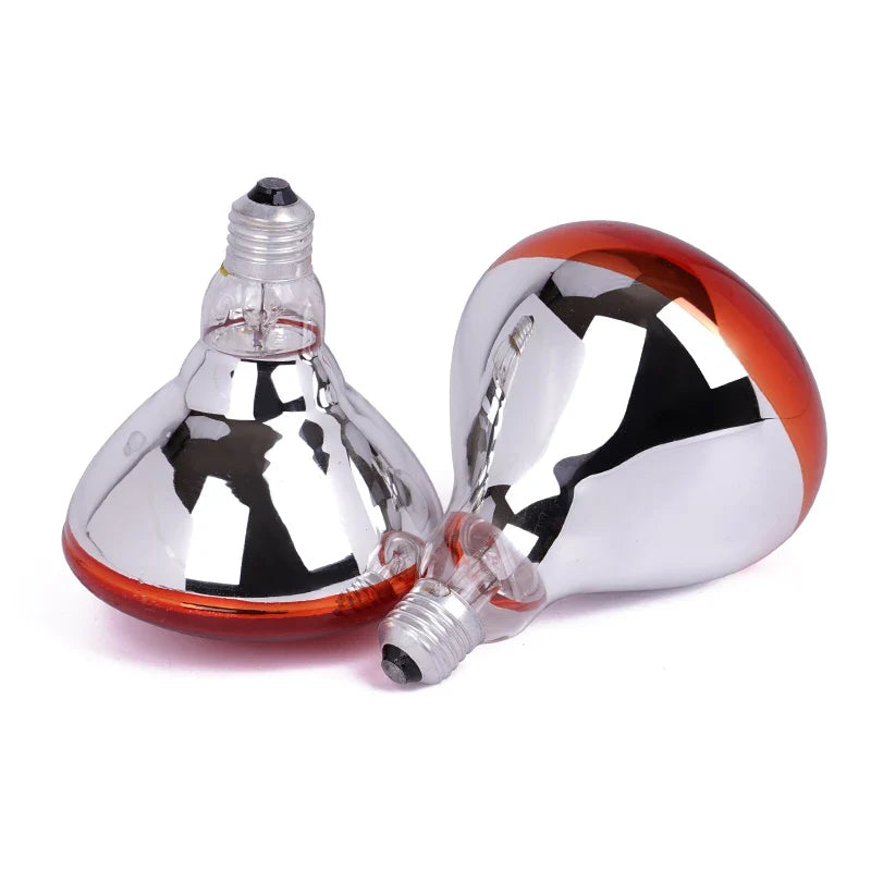 220V Heating Light Bulb Poultry Reptile - ProPawPet.com