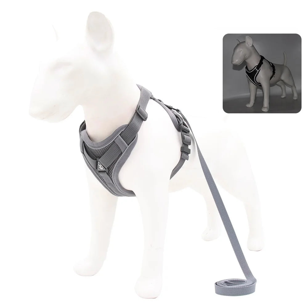 Harness and Leash Set Pet Accessories Dog - ProPawPet.com